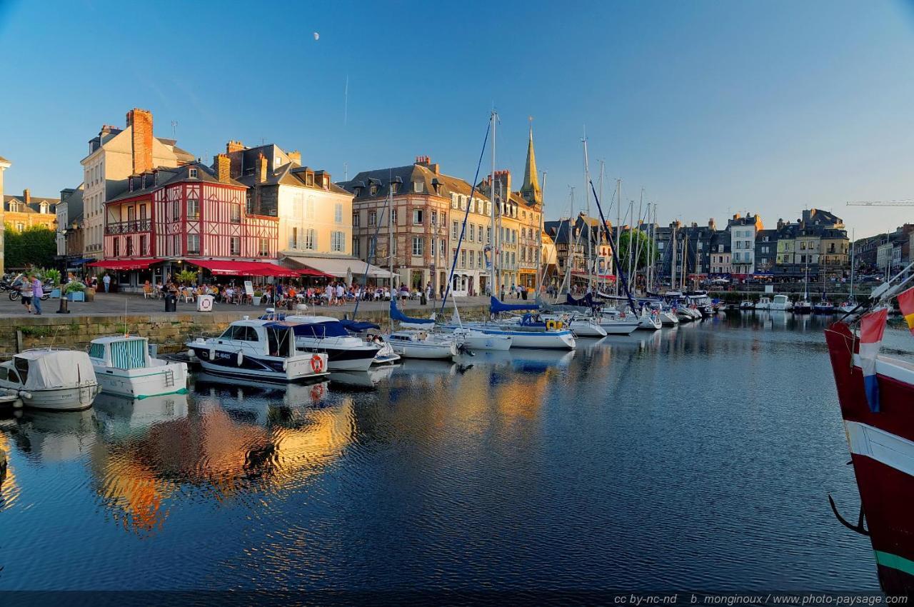 Le Patio / Les Suites Romantiques Du Grenier A Sel Honfleur Dış mekan fotoğraf